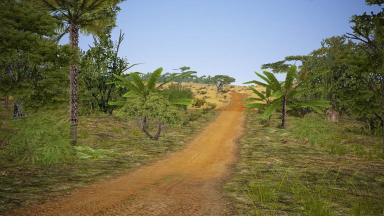 Assetto Corsa Africa